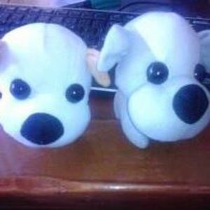 Meet your Posher, Julio